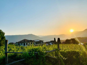 Weingut Gasshof